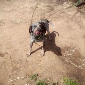 Meet your Posher, Marvin